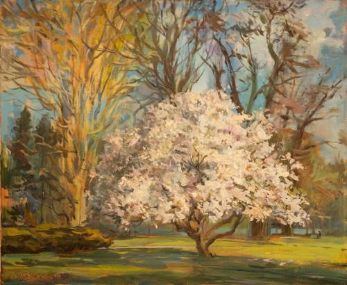 Szerstobitw - magnolia (Kopiowanie).jpg